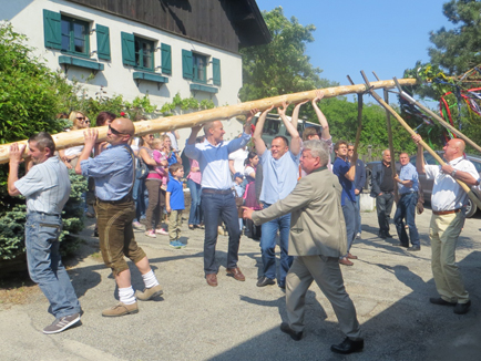 maibaum3