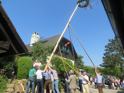 maibaum6